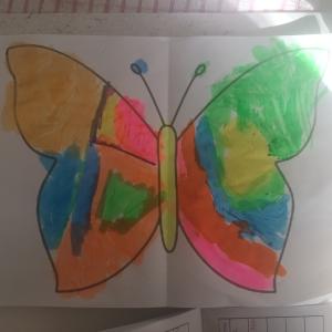 Butterfly Art Harvey M